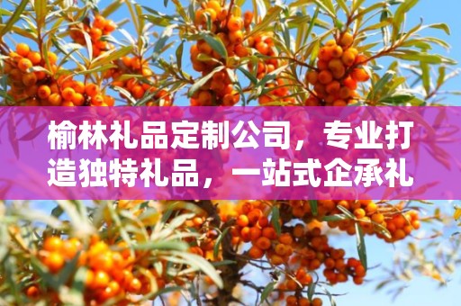 榆林礼品定制公司，专业打造独特礼品，一站式企承礼品供应链